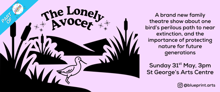 The Lonely Avocet