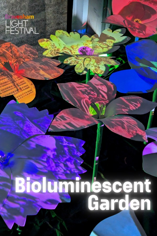  Bioluminescent Garden - Gravesham Light Festival